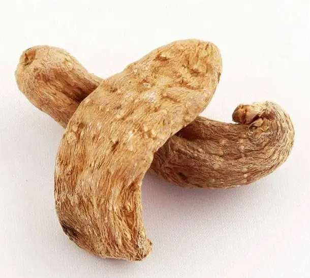 天麻与什么食物相克 天麻的功效