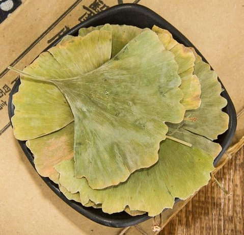 银杏叶功效与作用 银杏叶怎么处理才能泡茶
