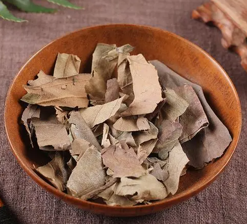 柿子叶泡水喝的功效 柿子叶的功效与作用