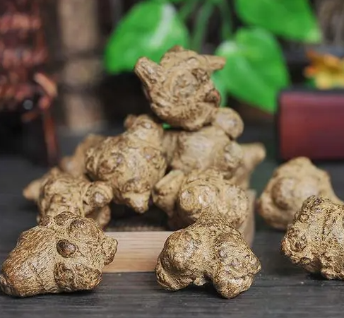 田七的功效与作用及食用方法 使用田七时的注意事项