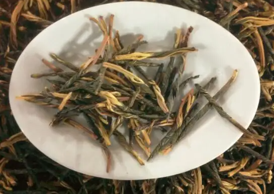 苦丁茶的功效 不适宜喝苦丁茶的人