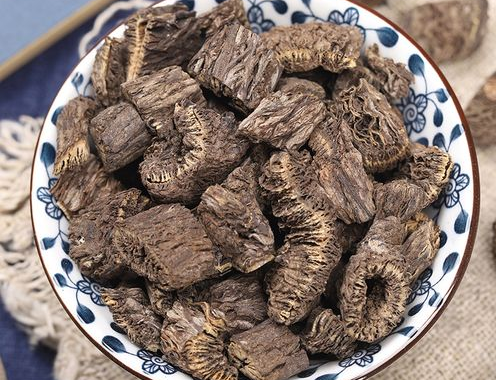 漏芦的功效与作用点 中药漏芦不能和什么配伍