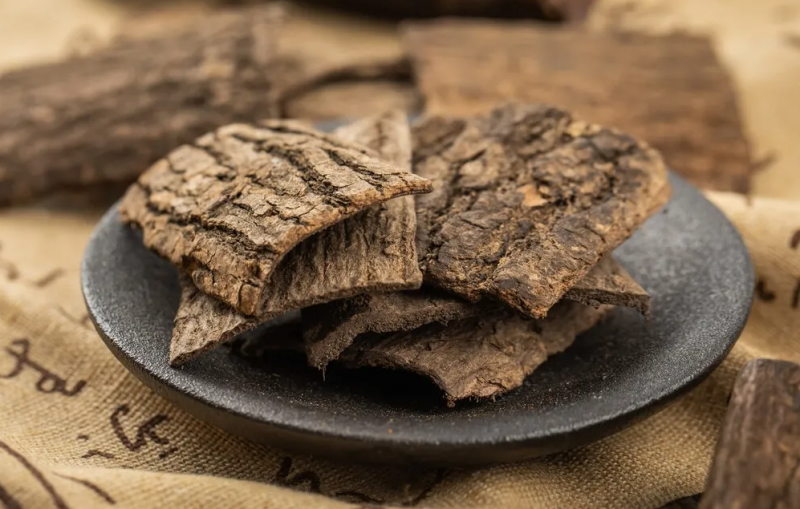 杜仲的功效与作用及食用方法 杜仲要煮多长时间好