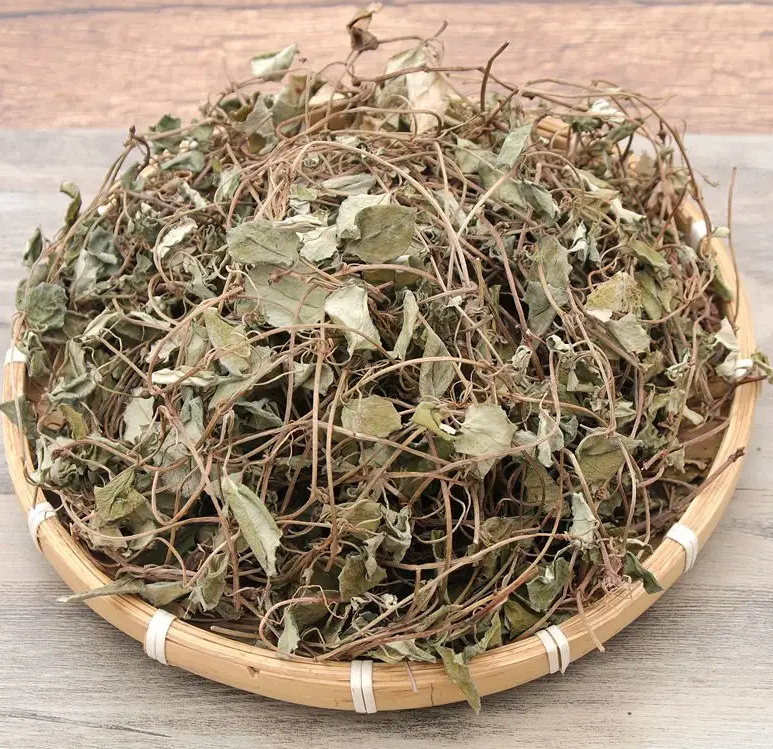 过路黄的功效与作用 过路黄泡开水喝的功效