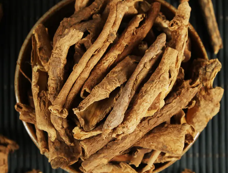 香加皮的功效与作用是什么 香加皮用法用量