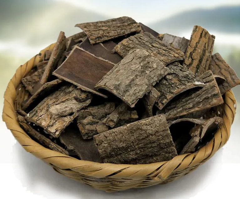 女人吃杜仲的功效及用途有哪些 杜仲的功效和作用
