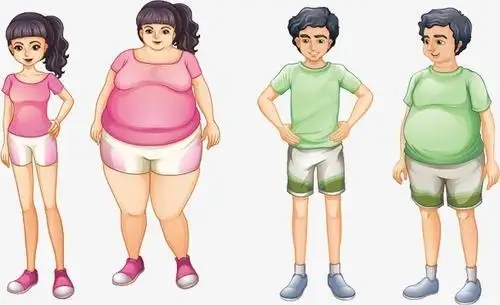 科学减肥的最好方法有哪些 减肥瘦肚子的方法