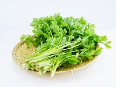 静脉曲张最怕三种食物 静脉曲张多吃三类食物