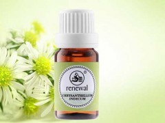 洋甘菊精油的作用 洋甘菊精油的养生价值