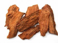 锁阳价格一斤多少钱 锁阳价格贵不贵