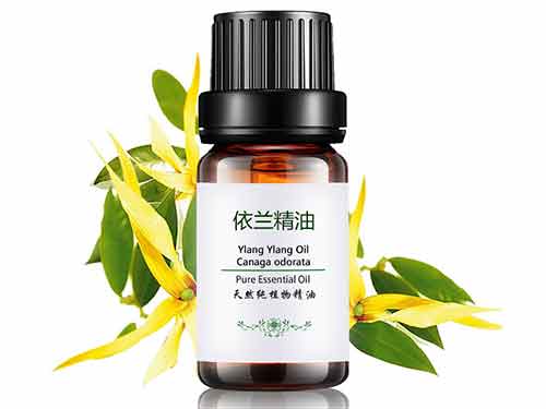 依兰精油泡脚的功效与作用 依兰精油泡脚对身体好吗