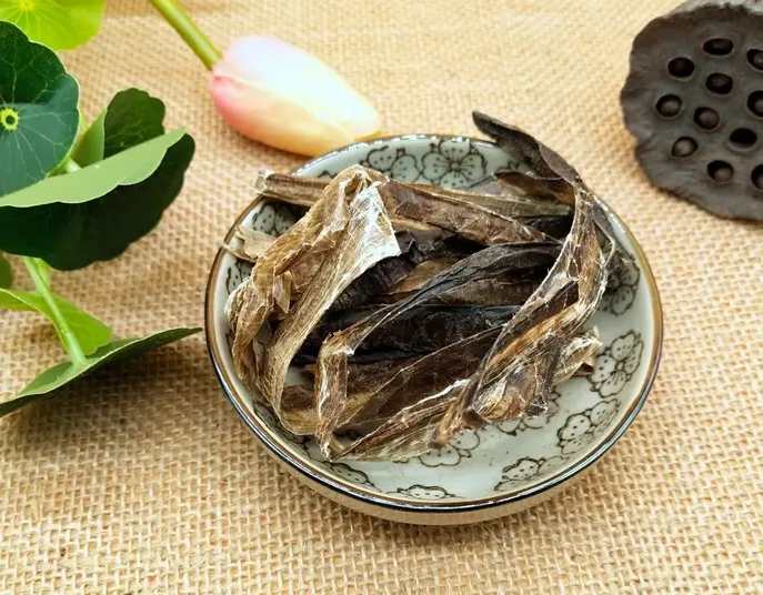 地龙的功效与作用及食用方法 地龙是什么