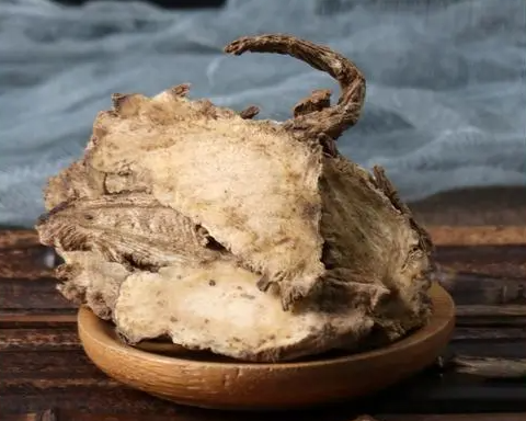 独活的功效与作用 独活不能跟什么中药一起