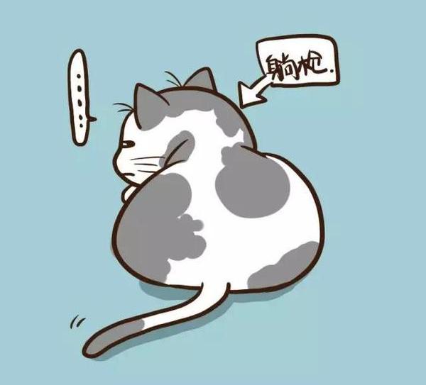 21天减肥法的前三天攻略介绍
