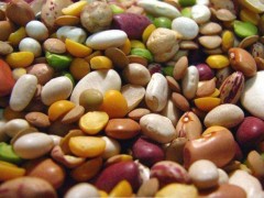 大豆和杂豆的区别，减肥该如何选择？