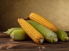 玉米、水果玉米、糯玉米