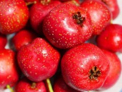 减肥女人们必选的10种食物 让你吃出苗条身材