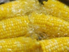 减肥蔬菜十大排行榜 吃对了减肥效果会更快