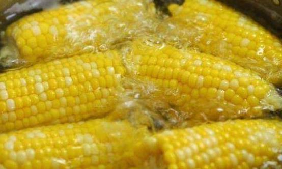 减肥蔬菜十大排行榜 吃对了减肥效果会更快