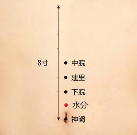 怎么按摩能减肥呢(自己按摩减肥手法)