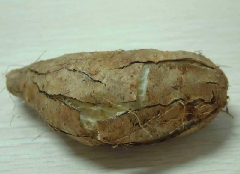 正确的减肥方法就是科学饮食和积极运动