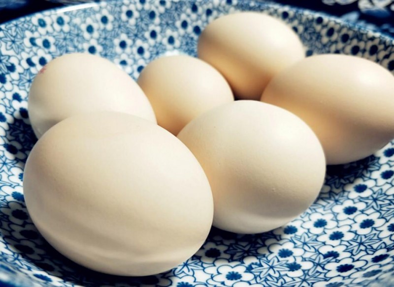 科学的减肥食谱一周瘦10斤