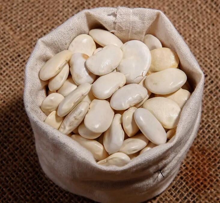 白芸豆减肥的注意事项