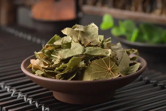 淫羊藿泡水