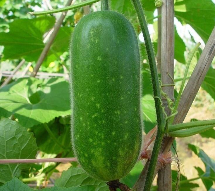 瘦肚子妙招腹肌马甲不是梦!