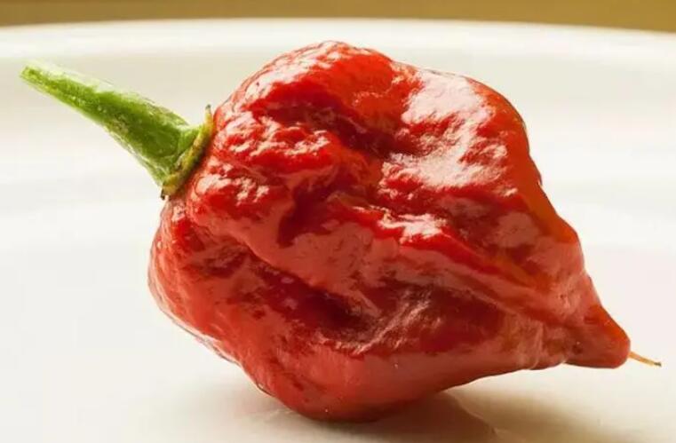 吃辣椒会不会减肥？辣椒减肥的原理