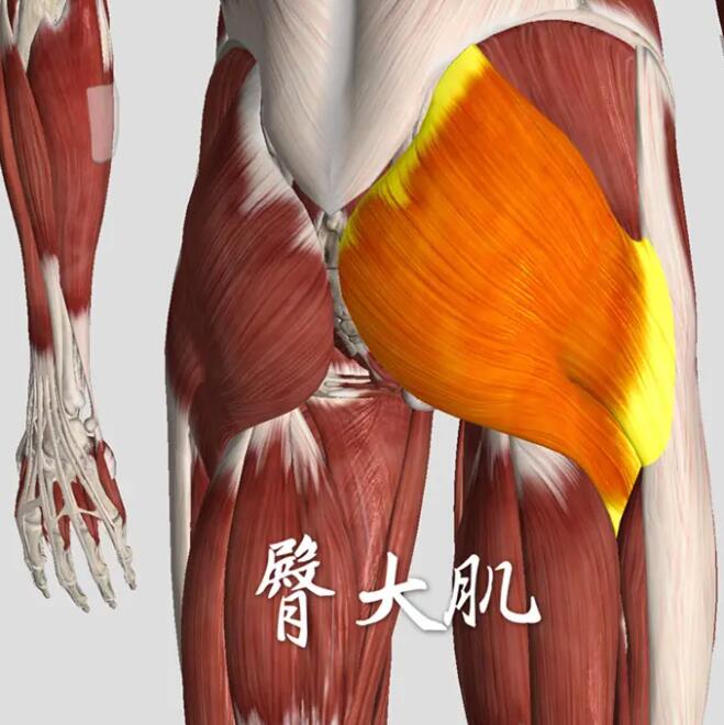 女生臀部减肥方法 超实用的瘦臀方法