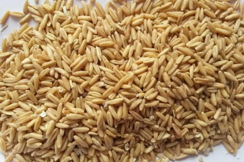 女性冬季减肥 冬季是减肥的最佳季节