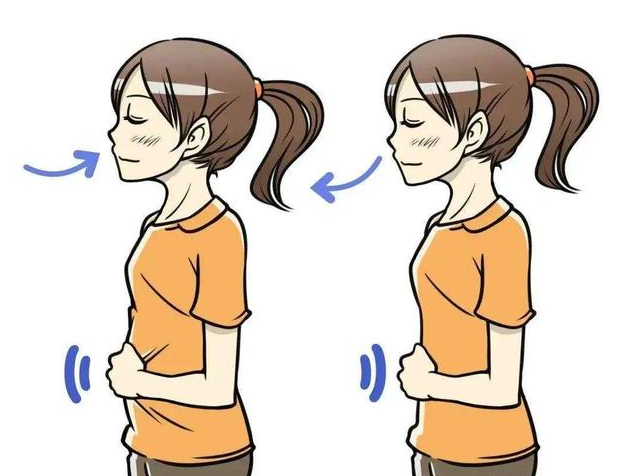 怎样快速减掉小肚腩