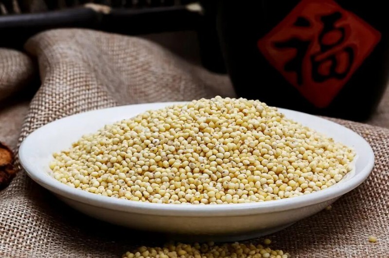 探索丨断食有益健康，好像是真的...