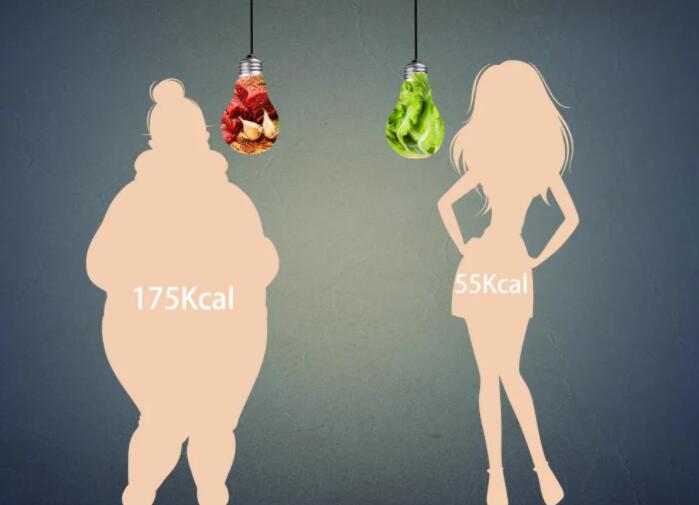 每周问答5丨肥胖的分类及减肥的原理