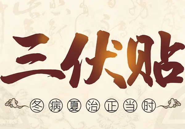 三伏贴