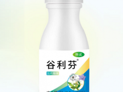谷利芬的三大功效与作用