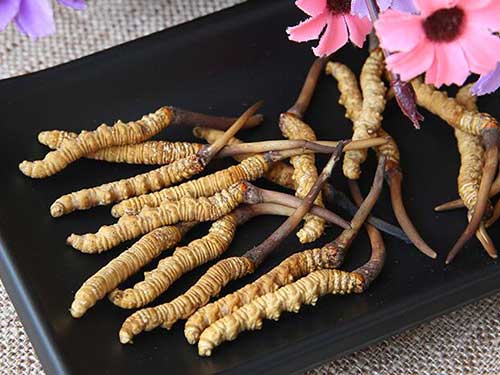 虫草锁精丸效果怎么样 虫草锁精丸有什么用