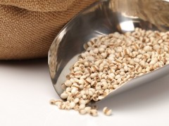 脂肪最怕的6种碱性食物 常吃6种食物促进脂肪排出