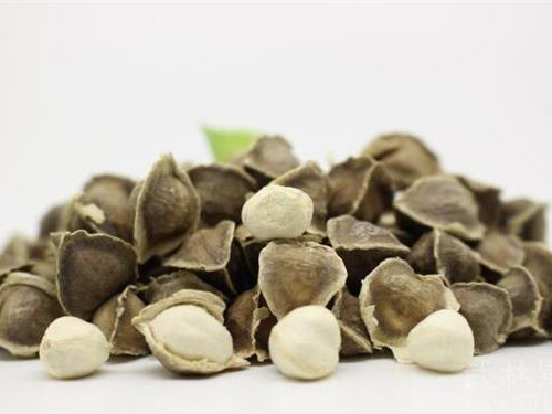 辣木籽作用 辣木籽怎么样