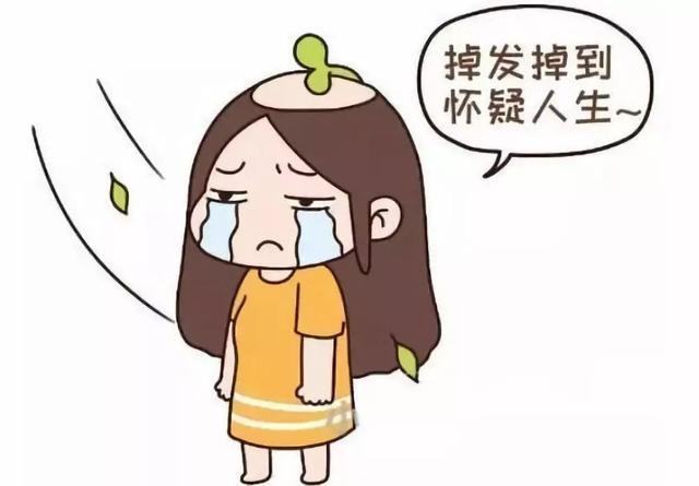 脱发掉发