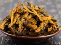 黄莲的作用 黄莲有什么作用