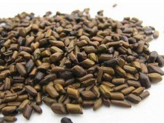 决明子的功效与作用及食用方法 决明子怎么样