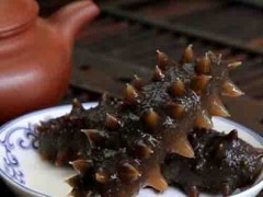 海参阿胶冲调蛋白粉价格 海参阿胶冲调蛋白粉多少钱
