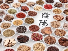 陈士铎百交不泄方成分 陈士铎百交不泄方用法