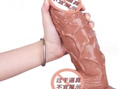 女士假阳具需要充电么（蓝牙耳机需要充电吗）