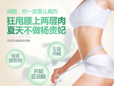 共轭亚油酸绿茶肉碱软胶囊