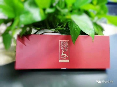 鹿无忧鹿血虫草多肽活能片公主版