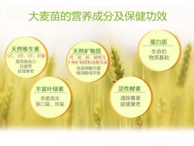 大麦若叶青汁