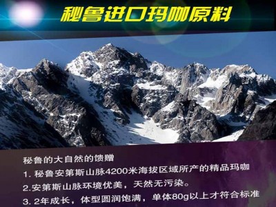 男士健康男性玛咖牡蛎压片糖果代加工